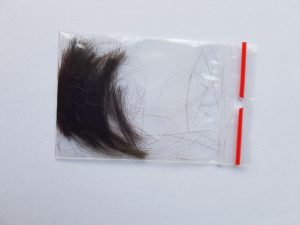 Analiza Pierwiastkowa Włosów - próbka do badania